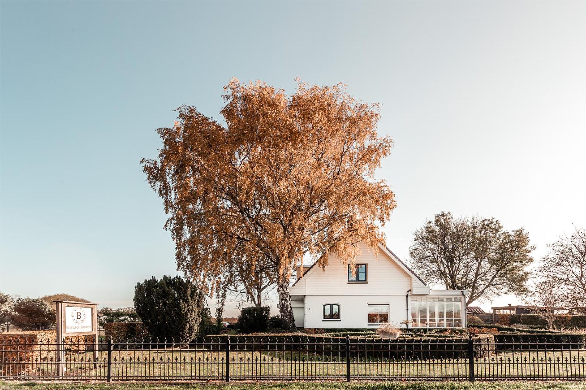 Betuwsch Badhuys Bed & Breakfast Lienden ภายนอก รูปภาพ